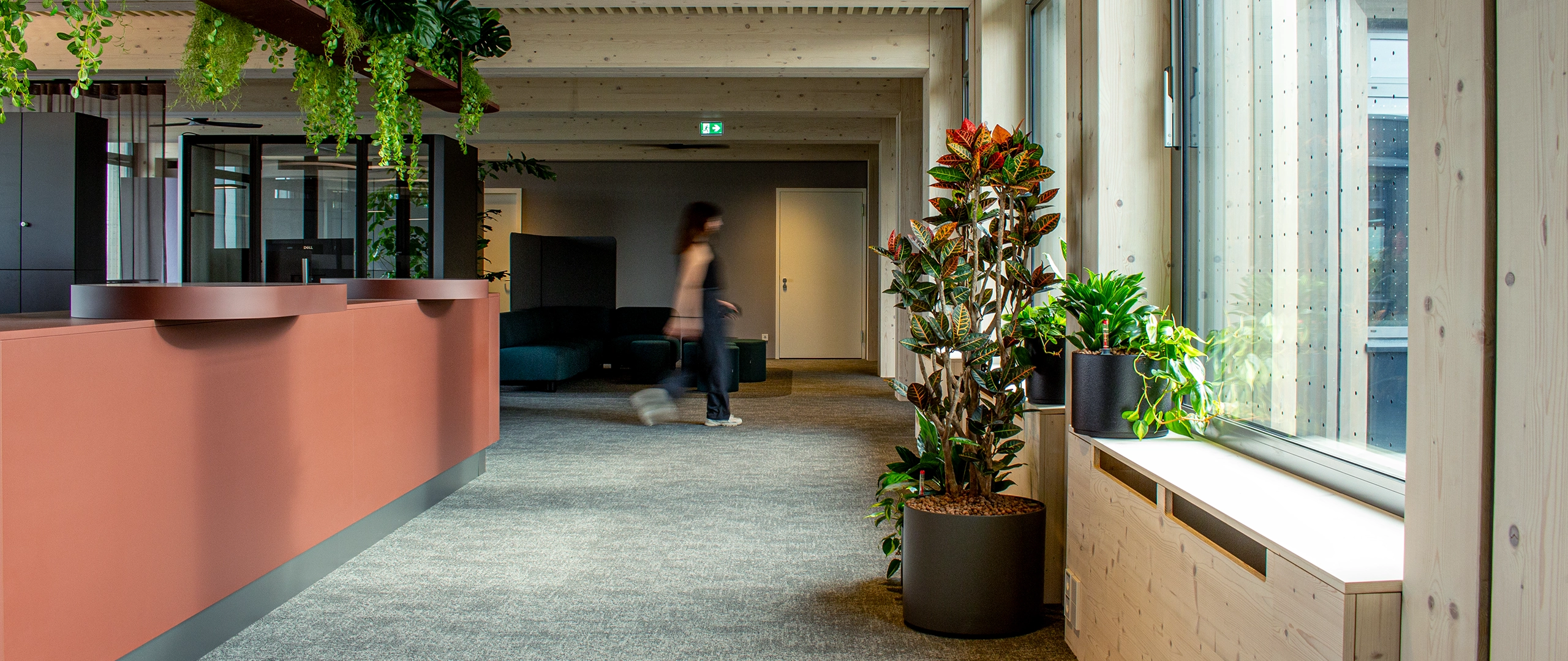 Empfangsbereich der CPM GmbH mit nachhaltigem Bürodesign und Pflanzen
